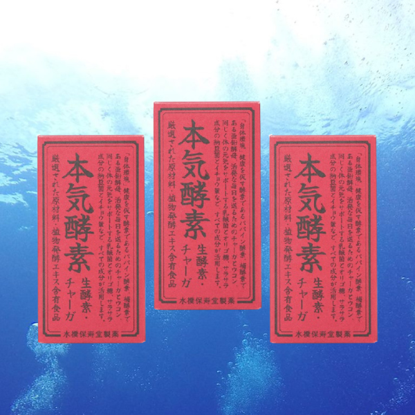 本気酵素3箱まとめ割